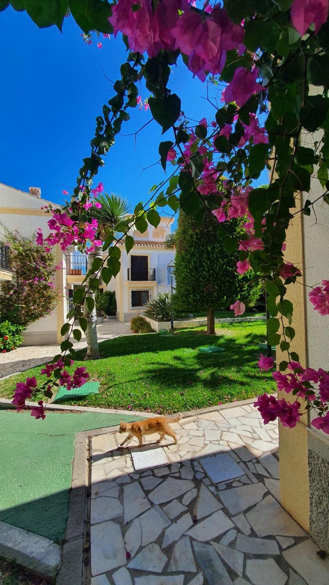 Casa Veratense Vera Playa Playas de Vera Εξωτερικό φωτογραφία